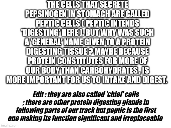 Blank White Template | THE CELLS THAT SECRETE PEPSINOGEN IN STOMACH ARE CALLED PEPTIC CELLS ( PEPTIC INTENDS 'DIGESTING' HERE ). BUT WHY WAS SUCH A 'GENERAL' NAME GIVEN TO A PROTEIN DIGESTING TISSUE ? MAYBE BECAUSE PROTEIN CONSTITUTES FOR MORE OF OUR BODY THAN CARBOHYDRATES , IS MORE IMPORTANT FOR US TO INTAKE AND DIGEST. Edit : they are also called 'chief' cells ; there are other protein digesting glands in following parts of our track but peptic is the first one making its function significant and irreplaceable | image tagged in blank white template | made w/ Imgflip meme maker