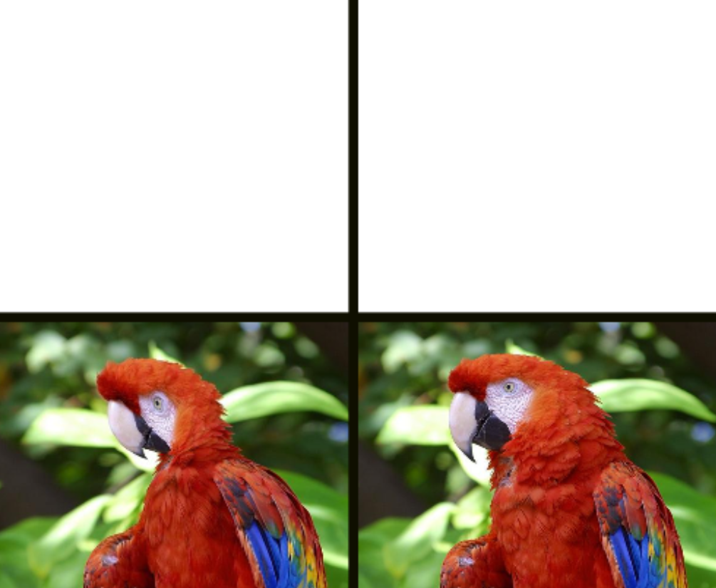 High Quality Squished Parrot Blank Meme Template