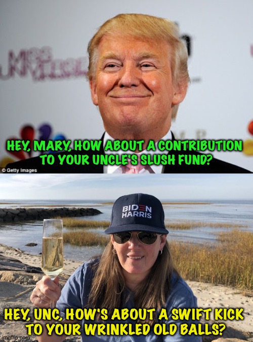 What Donny wants and what Donny needs are two different things | HEY, MARY, HOW ABOUT A CONTRIBUTION 
TO YOUR UNCLE'S SLUSH FUND? HEY, UNC, HOW'S ABOUT A SWIFT KICK 
TO YOUR WRINKLED OLD BALLS? | image tagged in donald trump approves,mary trump biden harris | made w/ Imgflip meme maker