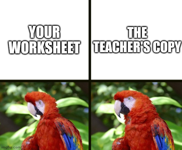 New meme template :) | YOUR WORKSHEET; THE TEACHER'S COPY | image tagged in squished parrot,parrot,bird,teacher's copy,teacher,school | made w/ Imgflip meme maker