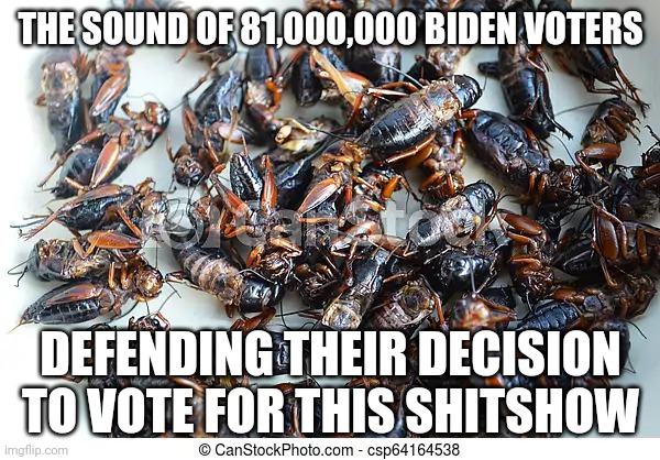 Crickets, 81m people sure are quiet |  THE SOUND OF 81,000,000 BIDEN VOTERS; DEFENDING THEIR DECISION TO VOTE FOR THIS SHITSHOW | image tagged in joe biden,democrats,socialism,democratic socialism | made w/ Imgflip meme maker