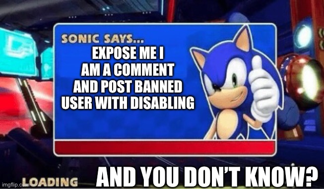 I meant say the username | EXPOSE ME I AM A COMMENT AND POST BANNED USER WITH DISABLING; AND YOU DON’T KNOW? | image tagged in sonic says | made w/ Imgflip meme maker