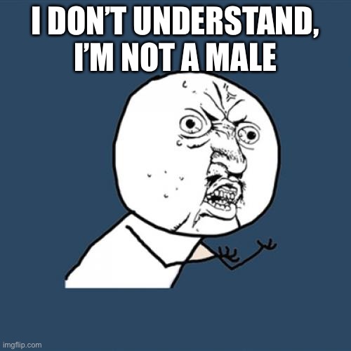 I dare you to unfeature this and guess harder. | I DON’T UNDERSTAND, I’M NOT A MALE | image tagged in memes,y u no | made w/ Imgflip meme maker