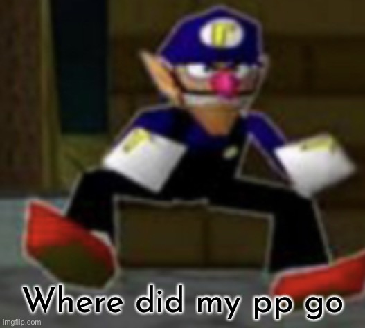 wah male | Where did my pp go | image tagged in wah male | made w/ Imgflip meme maker