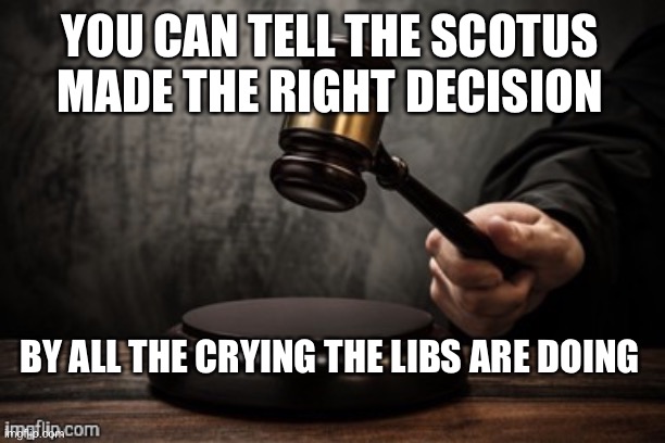 Court | YOU CAN TELL THE SCOTUS MADE THE RIGHT DECISION; BY ALL THE CRYING THE LIBS ARE DOING | image tagged in court | made w/ Imgflip meme maker