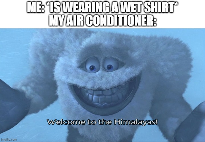 True, especially in the summertime | ME: *IS WEARING A WET SHIRT*
MY AIR CONDITIONER: | image tagged in welcome to the himalayas | made w/ Imgflip meme maker