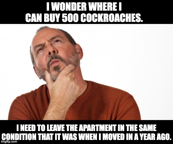Apartment | I WONDER WHERE I CAN BUY 500 COCKROACHES. I NEED TO LEAVE THE APARTMENT IN THE SAME CONDITION THAT IT WAS WHEN I MOVED IN A YEAR AGO. | image tagged in hmmm | made w/ Imgflip meme maker