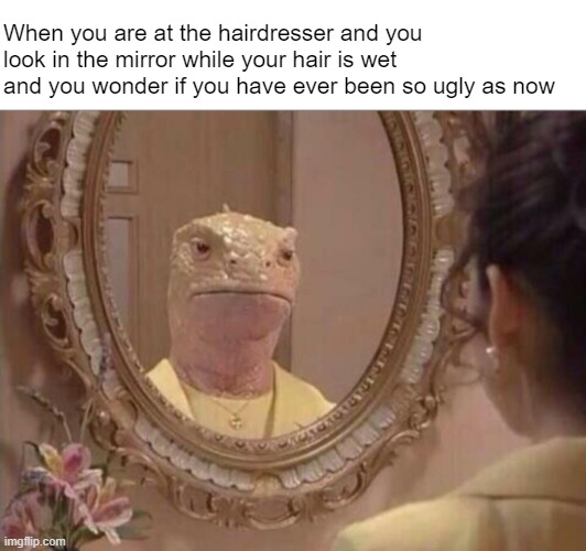 Lizard spotted |  When you are at the hairdresser and you look in the mirror while your hair is wet and you wonder if you have ever been so ugly as now | image tagged in lizard,mirror,ugly,hairdresser | made w/ Imgflip meme maker