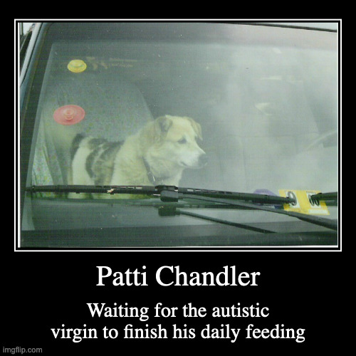 Patti | image tagged in funny,demotivationals,dogs,chris-chan | made w/ Imgflip demotivational maker