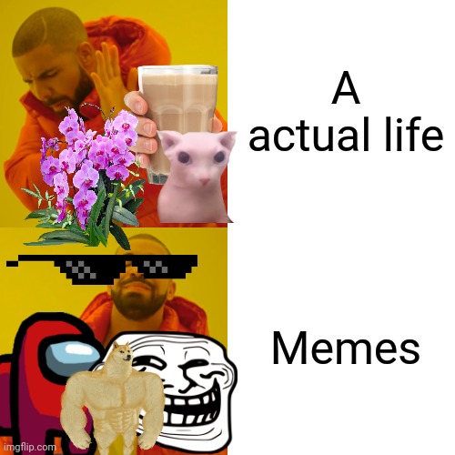 Drake Hotline Bling | A actual life; Memes | image tagged in memes,drake hotline bling | made w/ Imgflip meme maker