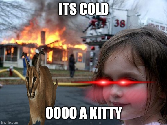 Disaster Girl | ITS COLD; OOOO A KITTY | image tagged in memes,disaster girl | made w/ Imgflip meme maker