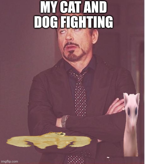 Cats and dogs | MY CAT AND DOG FIGHTING | image tagged in memes,face you make robert downey jr | made w/ Imgflip meme maker