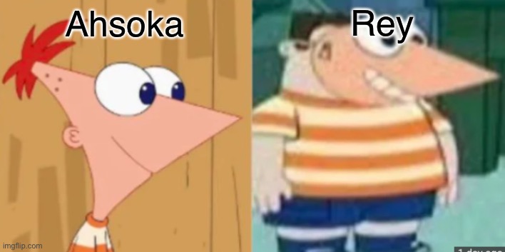 Buford Dressed As Phineas | Rey; Ahsoka | image tagged in buford dressed as phineas | made w/ Imgflip meme maker