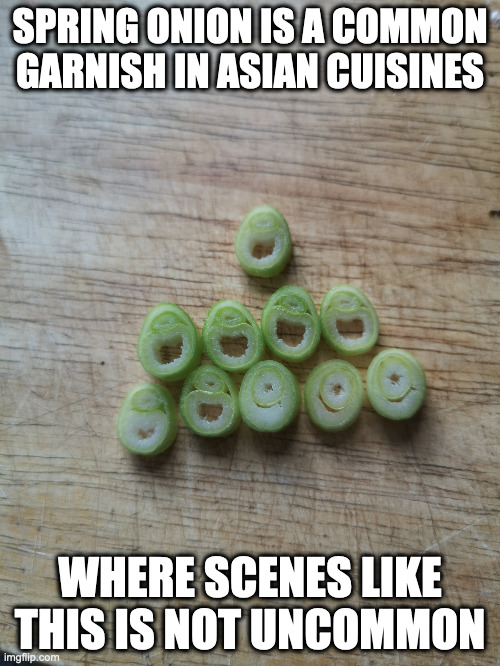 Spring Onion Faces | SPRING ONION IS A COMMON GARNISH IN ASIAN CUISINES; WHERE SCENES LIKE THIS IS NOT UNCOMMON | image tagged in spring onion,memes,vegetables | made w/ Imgflip meme maker