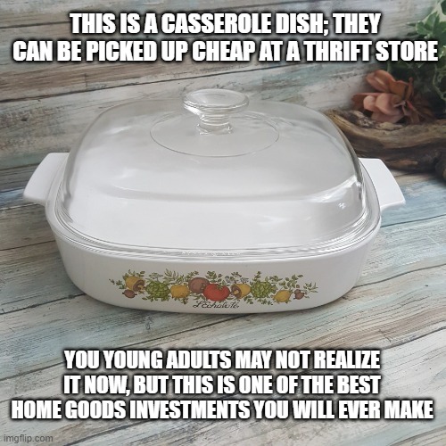 Take it from someone who had to learn this the hard way... | THIS IS A CASSEROLE DISH; THEY CAN BE PICKED UP CHEAP AT A THRIFT STORE; YOU YOUNG ADULTS MAY NOT REALIZE IT NOW, BUT THIS IS ONE OF THE BEST HOME GOODS INVESTMENTS YOU WILL EVER MAKE | image tagged in casserole dish | made w/ Imgflip meme maker