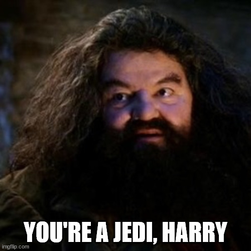 You're a wizard harry - Imgflip