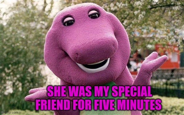 barney | SHE WAS MY SPECIAL FRIEND FOR FIVE MINUTES | image tagged in barney | made w/ Imgflip meme maker