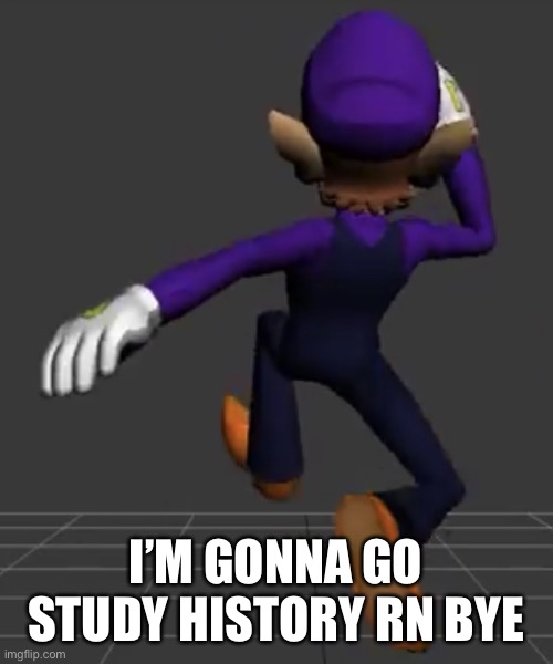 Waluigi Running | I’M GONNA GO STUDY HISTORY RN BYE | image tagged in waluigi running | made w/ Imgflip meme maker