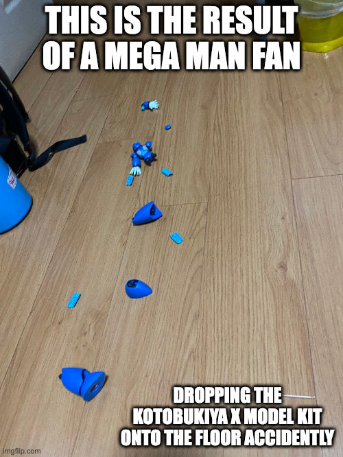 Mega Man X Model Kit Into Pieces | THIS IS THE RESULT OF A MEGA MAN FAN; DROPPING THE KOTOBUKIYA X MODEL KIT ONTO THE FLOOR ACCIDENTLY | image tagged in megaman,megaman x,memes | made w/ Imgflip meme maker