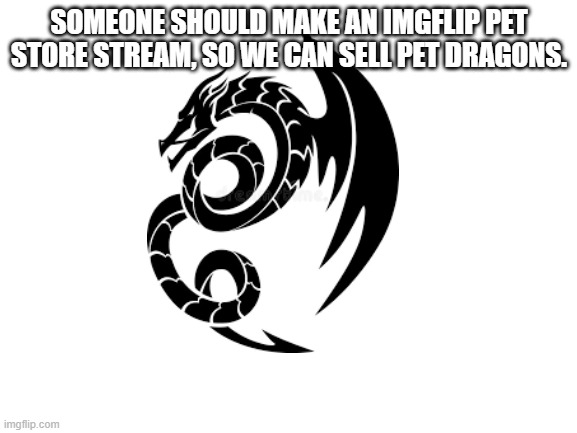 Pet dragons will become legal if Draconis Eternis wins! | SOMEONE SHOULD MAKE AN IMGFLIP PET STORE STREAM, SO WE CAN SELL PET DRAGONS. | image tagged in blank white template | made w/ Imgflip meme maker