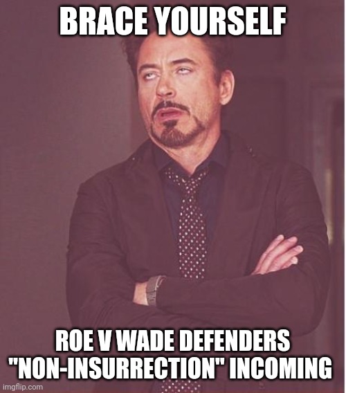 Buh is difrint wen we does it! | BRACE YOURSELF; ROE V WADE DEFENDERS "NON-INSURRECTION" INCOMING | image tagged in memes,face you make robert downey jr | made w/ Imgflip meme maker