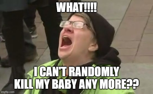 No More Killing |  WHAT!!!! I CAN'T RANDOMLY KILL MY BABY ANY MORE?? | image tagged in screaming liberal | made w/ Imgflip meme maker