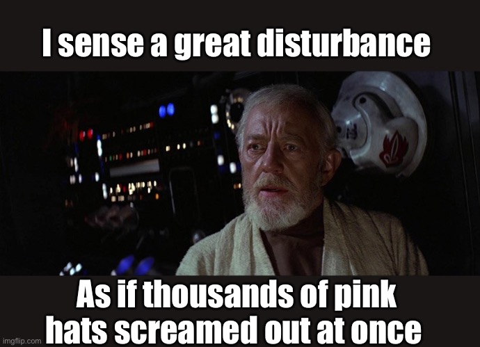Looks like congress will finally have to do their job | I sense a great disturbance; As if thousands of pink hats screamed out at once | image tagged in a great disturbance in the force,politics lol,memes | made w/ Imgflip meme maker