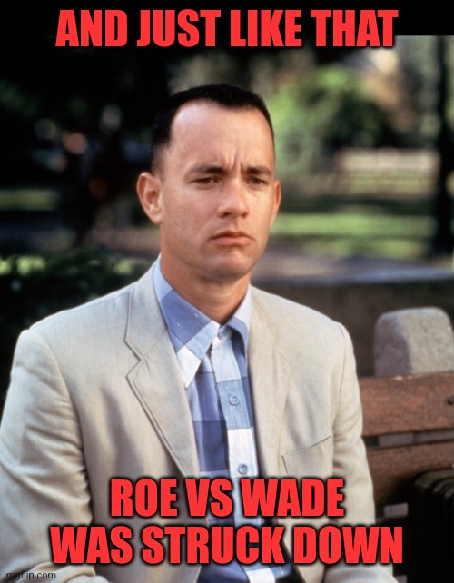 I never thought that I would see it. | AND JUST LIKE THAT; ROE VS WADE WAS STRUCK DOWN | image tagged in and just like that,supreme court,abortion | made w/ Imgflip meme maker