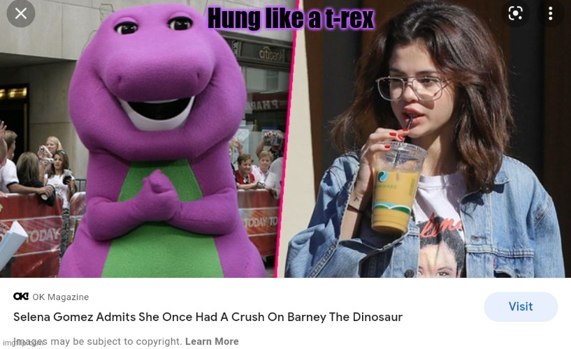 No. Stop this. This is not ok. | Hung like a t-rex | image tagged in this is not okie dokie,barney the dinosaur,loves,selena gomez | made w/ Imgflip meme maker
