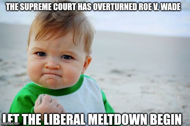 Revenge of the baby | THE SUPREME COURT HAS OVERTURNED ROE V. WADE; LET THE LIBERAL MELTDOWN BEGIN | image tagged in memes,success kid original | made w/ Imgflip meme maker