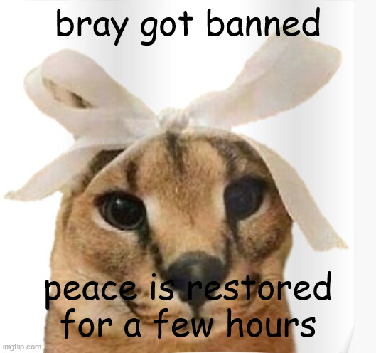 Miss Floppa | bray got banned; peace is restored for a few hours | image tagged in miss floppa | made w/ Imgflip meme maker