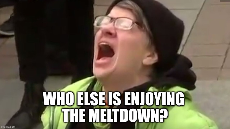 Screaming Liberal  |  WHO ELSE IS ENJOYING 
THE MELTDOWN? | image tagged in screaming liberal | made w/ Imgflip meme maker