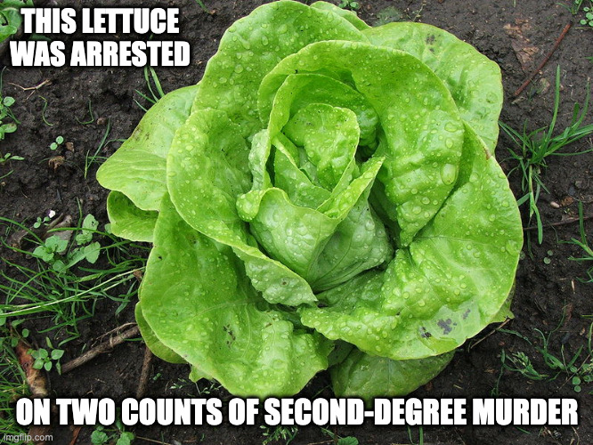 Lettuce | THIS LETTUCE WAS ARRESTED; ON TWO COUNTS OF SECOND-DEGREE MURDER | image tagged in plants,memes,lettuce | made w/ Imgflip meme maker