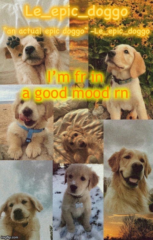 Doggo temp by doggo. Wait what that’s confusing | I’m fr in a good mood rn | image tagged in doggo temp by doggo wait what that s confusing | made w/ Imgflip meme maker