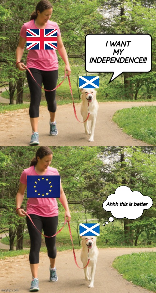 The SNP don't care that they are wearing a collar, they only care who's holding the leash | I WANT MY INDEPENDENCE!!! Ahhh this is better | image tagged in scotland,snp,england,britain,european union | made w/ Imgflip meme maker