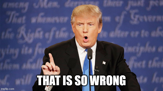 Donald Trump Wrong | THAT IS SO WRONG | image tagged in donald trump wrong | made w/ Imgflip meme maker
