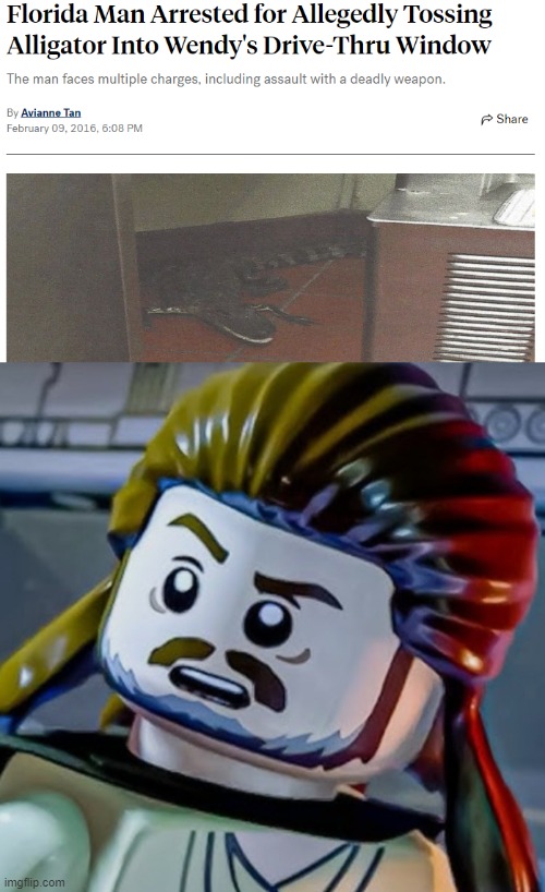 What the heck, Florida Man? | image tagged in confused lego qui-gon,florida man,wendy's,alligator | made w/ Imgflip meme maker