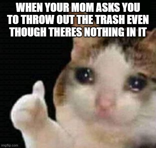 sad thumbs up cat | WHEN YOUR MOM ASKS YOU TO THROW OUT THE TRASH EVEN THOUGH THERES NOTHING IN IT | image tagged in sad thumbs up cat | made w/ Imgflip meme maker