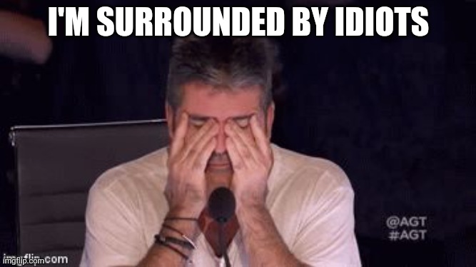 Life: | I'M SURROUNDED BY IDIOTS | image tagged in frustrated simon cowell | made w/ Imgflip meme maker