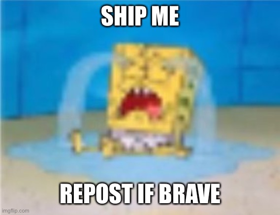 spumgelop cryne | SHIP ME; REPOST IF BRAVE | image tagged in spumgelop cryne | made w/ Imgflip meme maker