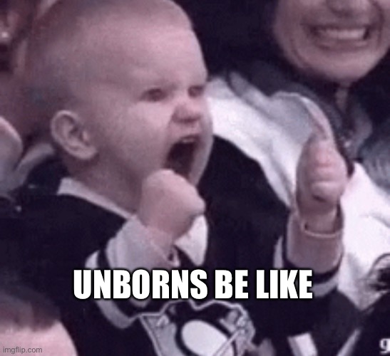 Unborns Be Like | UNBORNS BE LIKE | image tagged in righttolife,righttolive,abortion,abortion is murder | made w/ Imgflip meme maker