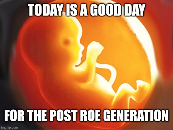 unborn child | TODAY IS A GOOD DAY; FOR THE POST ROE GENERATION | image tagged in unborn child | made w/ Imgflip meme maker