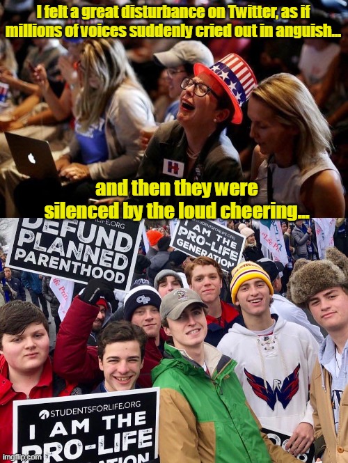 A lot of babies sleep soundly in their mother's womb tonight. | I felt a great disturbance on Twitter, as if millions of voices suddenly cried out in anguish... and then they were silenced by the loud cheering... | image tagged in maga prolife,roe vs wade,scotus,maga,abortion,america | made w/ Imgflip meme maker