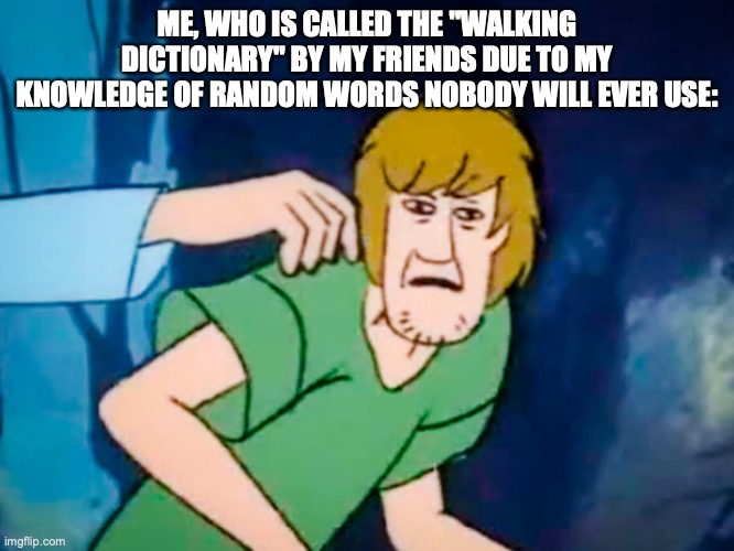 Shaggy meme | ME, WHO IS CALLED THE "WALKING DICTIONARY" BY MY FRIENDS DUE TO MY KNOWLEDGE OF RANDOM WORDS NOBODY WILL EVER USE: | image tagged in shaggy meme | made w/ Imgflip meme maker