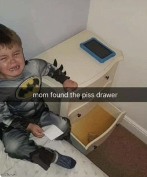 Piss drawer | image tagged in piss drawer | made w/ Imgflip meme maker