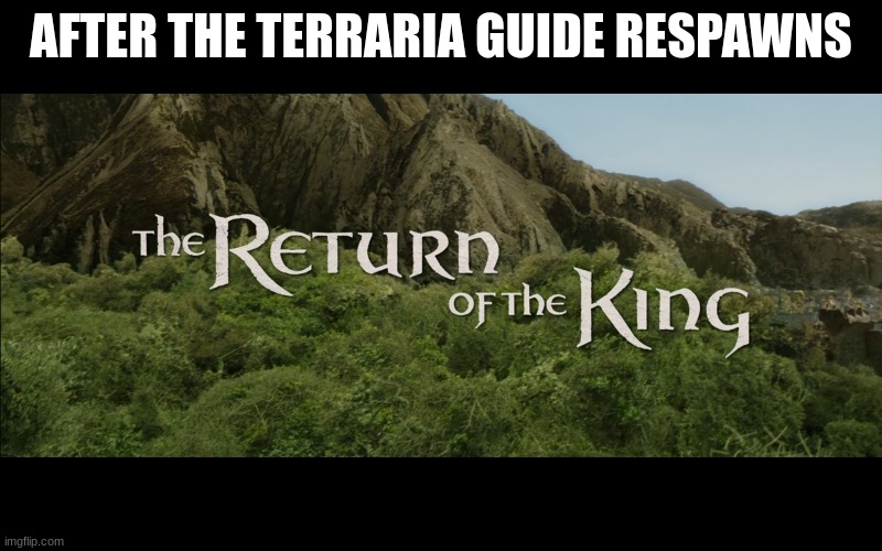 Return Of The King | AFTER THE TERRARIA GUIDE RESPAWNS | image tagged in return of the king | made w/ Imgflip meme maker