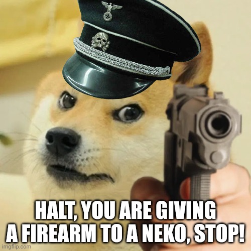 Angry doge | HALT, YOU ARE GIVING A FIREARM TO A NEKO, STOP! | image tagged in angry doge | made w/ Imgflip meme maker