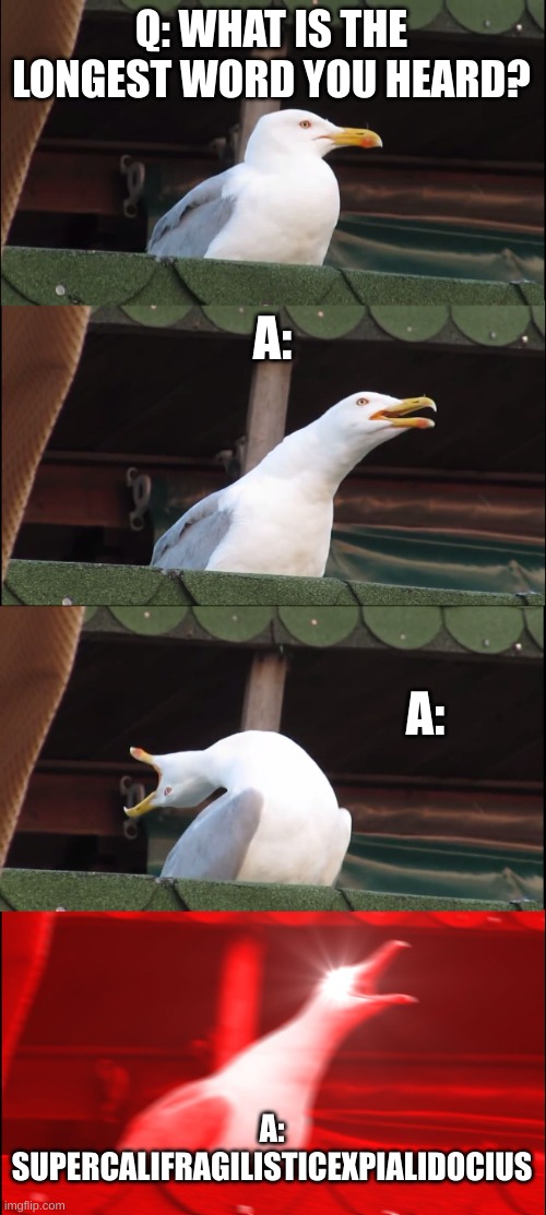 Inhaling Seagull | Q: WHAT IS THE LONGEST WORD YOU HEARD? A:; A:; A: SUPERCALIFRAGILISTICEXPIALIDOCIUS | image tagged in memes,inhaling seagull,super long word,supercalifragilisticexpialidocius,lol | made w/ Imgflip meme maker