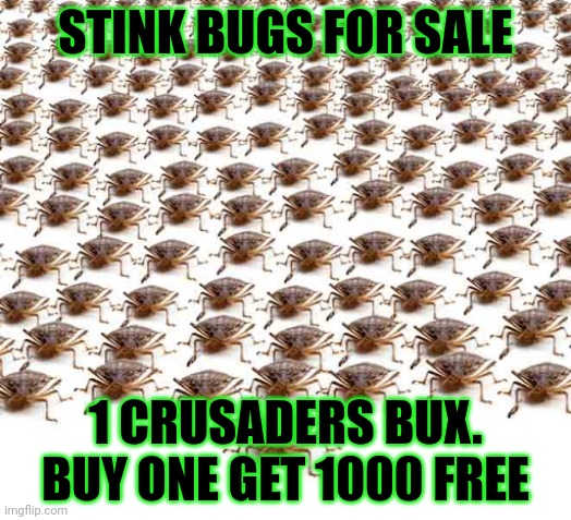 Stank buugs | STINK BUGS FOR SALE; 1 CRUSADERS BUX.
BUY ONE GET 1000 FREE | image tagged in no i don't think i will,get em while they cheap | made w/ Imgflip meme maker