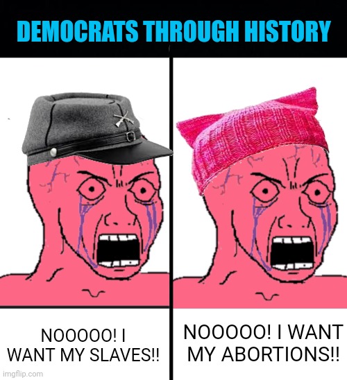 They never really change... |  DEMOCRATS THROUGH HISTORY; NOOOOO! I WANT MY SLAVES!! NOOOOO! I WANT MY ABORTIONS!! | image tagged in scotus,supreme court,democratic party,slavery,abortion,abortion is murder | made w/ Imgflip meme maker